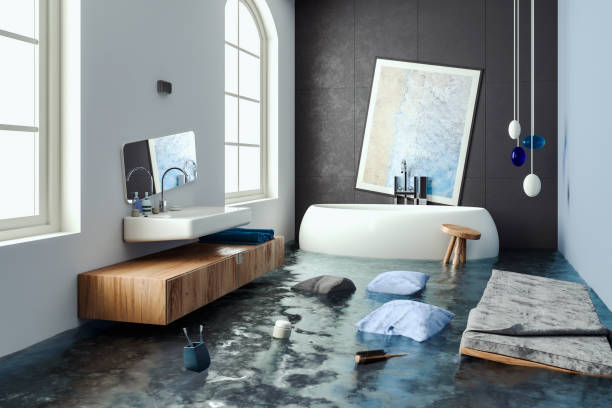 Best Water damage restoration mold remediation  in Villa Ridge, MO