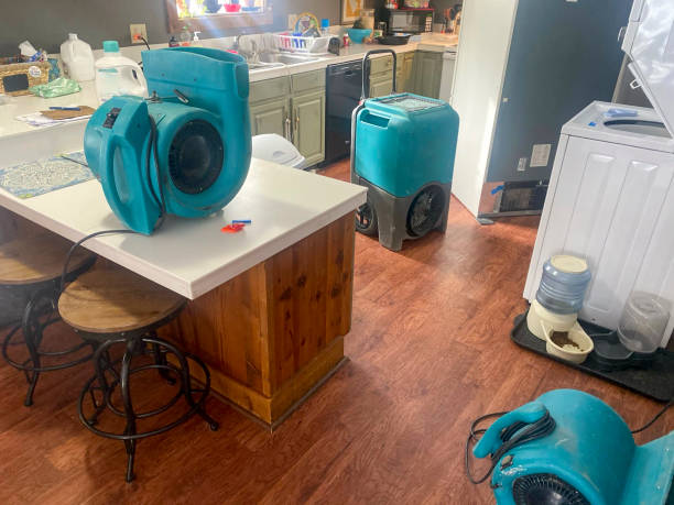 Sewage cleanup and water damage restoration in Villa Ridge, MO