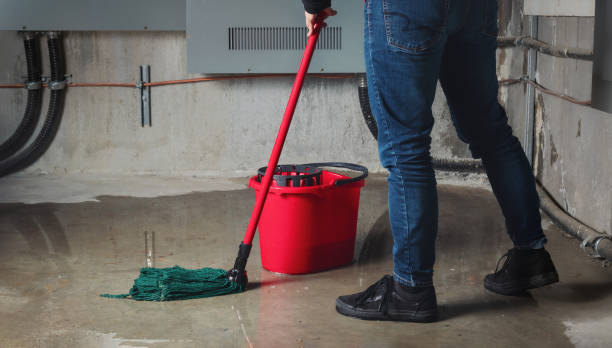 Best Local water damage restoration  in Villa Ridge, MO