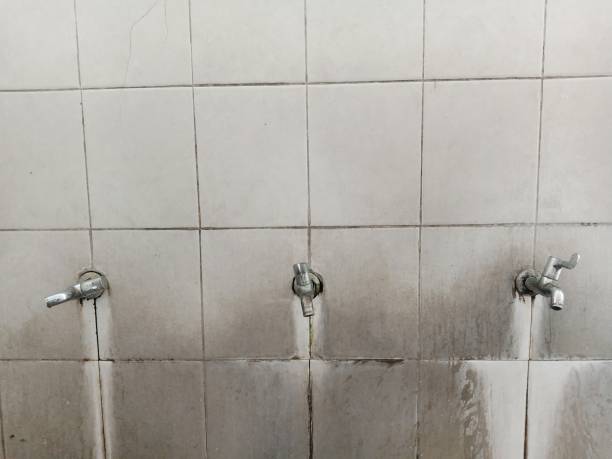 Water damage restoration mold remediation in Villa Ridge, MO