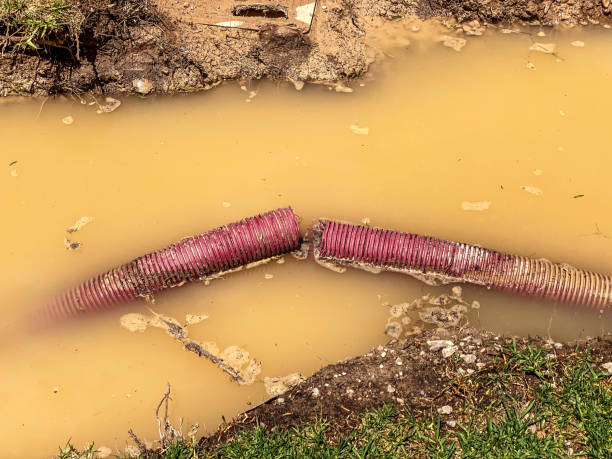 Professional Water damage restoration in Villa Ridge, MO